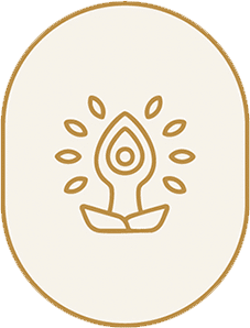 Camada 19